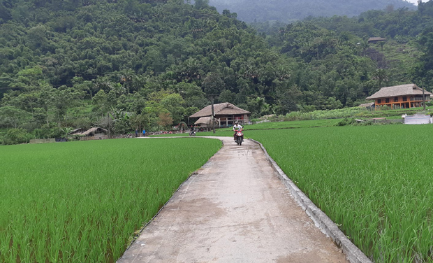  Vẻ đẹp Việt Nam   